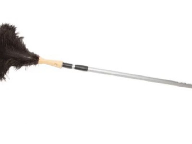 Plumeau met lange of uitschuifbare steel - Plumeau struisvogelveer met telescoopsteel