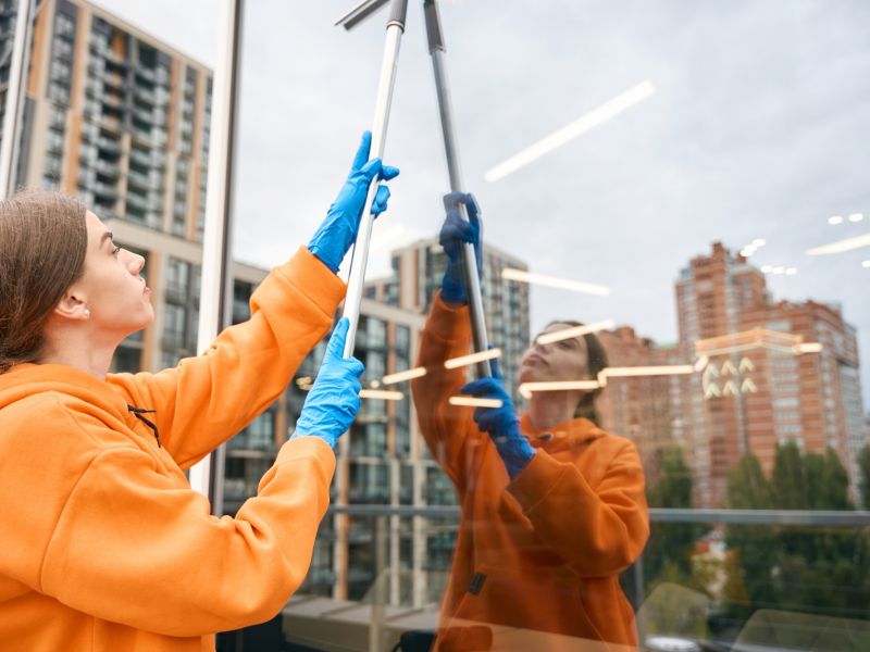 Ramen zemen zonder strepen Cleaning Academy